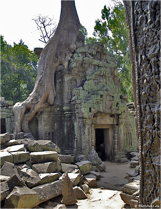 Ta Prohm